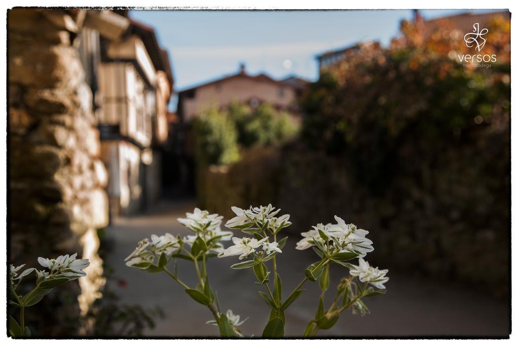 ホテル Abadia San Martin San Martín del Castañar エクステリア 写真